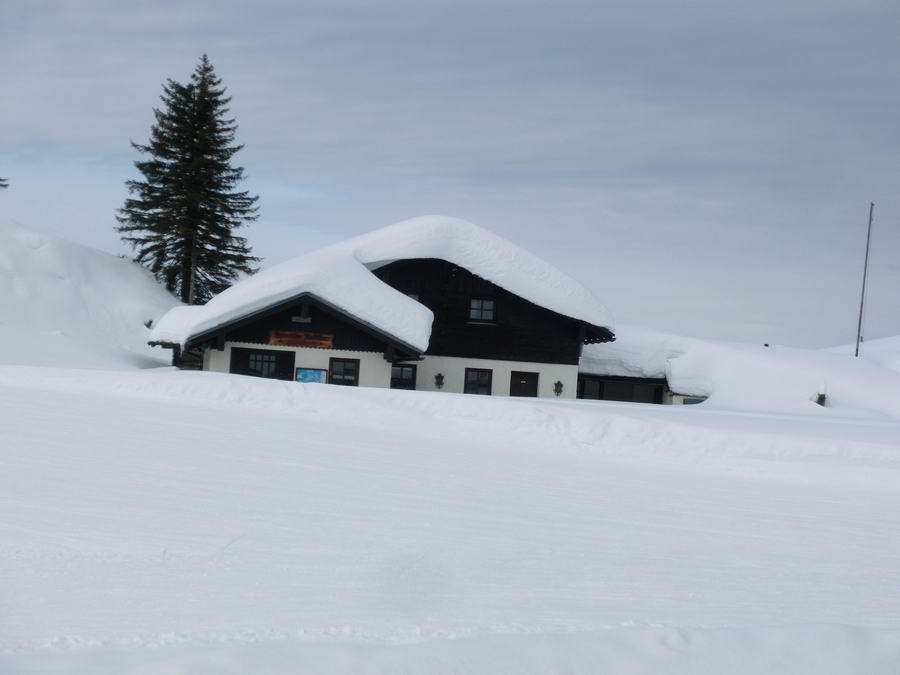 02- Dachstein, Rodeln, Geischl 023